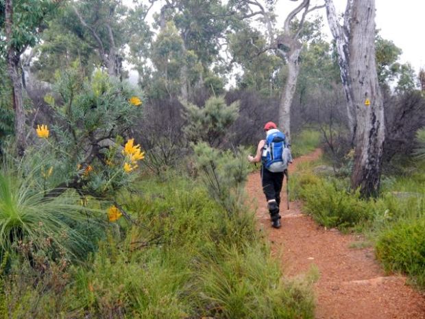 DSCN0555 - Version 2