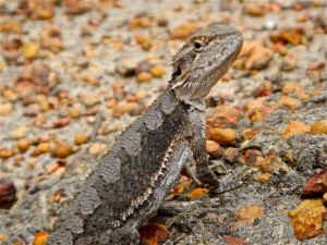 DSCN0640 - Version 2