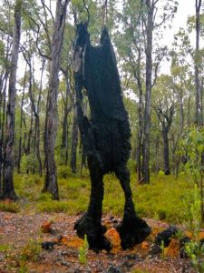 DSCN0672 - Version 2