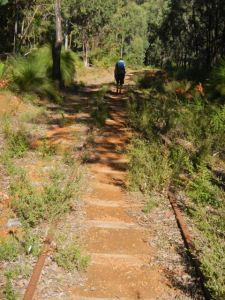 DSCN0806 - Version 2