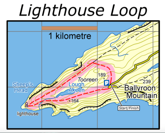 Screen Shot 2019-10-28 at 11.49.49